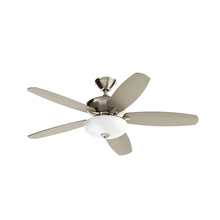  330161BSS - 52 Inch Renew Select Fan