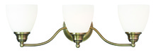  13673-01 - 3 Light Antique Brass Bath Light