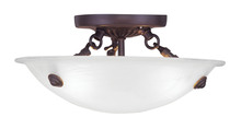  4272-07 - 3 Light Bronze Ceiling Mount