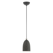  49107-76 - 1 Lt Bronze Pendant