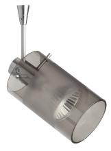  SP-6524ES-18-SN - Besa Spotlight With 18" Stem Scope Satin Nickel Smoke/Frost 1x50W Halogen Mr16