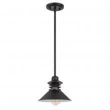  E80066-001 - Robby 1-Light Black Finish Mini Pendant 9“ X 9” X 6.63“