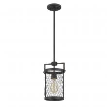  E80070-020 - Cooper 1-Light Guilded Iron & Seaside Oak Mini Pendant 6.25“ X 7.5” X 12.38“