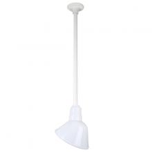  H-QSN18110-SA-93/QSN24ST3-93/QSNHDSMC-93 - 10" Ceiling Stem Light