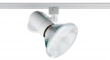  T238 WH - Close-Up Bare Lamp Par38