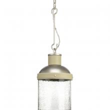  P500202-081 - POINT DUMEÂ® by Jeffrey Alan Marks for Progress Lighting Rockdance Collection Antique Nickel Pendant