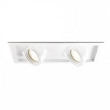  MT-5LD225T-F30-WT - Tesla LED Multiple Two Light Trim with Light Engine