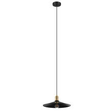  204025A - 1x60W Pendant w/ Black Finish &  Brushed Gold Accent.