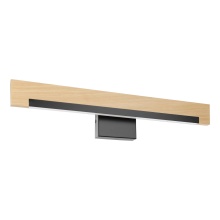 Eglo 205523A - Camacho - LED Bath/Vanity Light