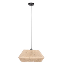 Eglo 206081A - Alderney - 1 LT Dual Ceiling or Pendant