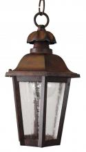  1231 - Avanti 1200 Series Hanging Model 1231 Small Outdoor Wall Lantern