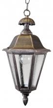  1251 - Avanti 1200 Series Hanging Model 1251 Medium Outdoor Wall Lantern