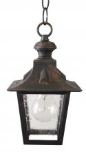  1431 - Avanti 1400 Series Ceiling Model 1431 Small Outdoor Wall Lantern