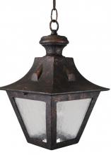  1451 - Avanti 1400 Series Ceiling Model 1451 Medium Outdoor Wall Lantern