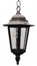  1531 - Avanti 1500 Series Hanging Model 1531 Small Outdoor Wall Lantern