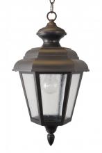  1551 - Avanti 1500 Series Hanging Model 1551 Medium Outdoor Wall Lantern