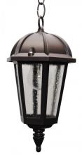  2431 - Avanti 2400 Series Hanging Model 2431 Small Outdoor Wall Lantern