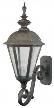  247073 - Avanti 2400 Series Wall Model 247073 Large Outdoor Wall Lantern