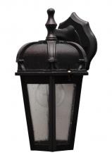  K183006 - Kiss Lighting K1800 Series Wall Model K183006 Small Outdoor Wall Lantern