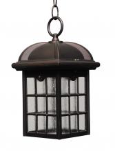  K931 - Kiss Lighting K900 Series Hanging Model K931 Small Outdoor Wall Lantern