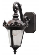  PE393066 - Parisian Elegance PE3900 Series Wall Model PE393066 Medium Outdoor Wall Lantern