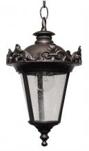  PE3931 - Parisian Elegance PE3900 Series Hanging Model PE3931 Medium Outdoor Wall Lantern