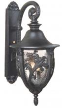  TC359056 - Tuscany Collection TC3500 Series Wall Model TC359056 Large Outdoor Wall Lantern