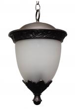  TC4231 - Tuscany Collection TC4200 Series Hanging Model TC4231 Small Outdoor Wall Lantern