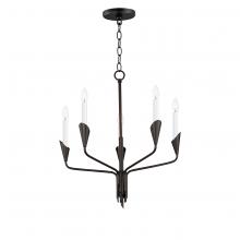  24345BK - Calyx-Chandelier