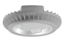  HAZBLED42FA - HAZLED 42W COOL LED WALL BRKT W/ AMBER FROSTED GLOBE GRAY