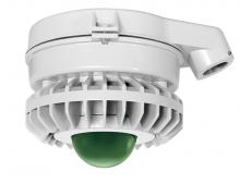  HAZXLED42FG - HAZLED 42W COOL LED CEILING GREEN FROSTED GLOBE GRAY