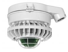 RAB Lighting HAZXLED42FR-G - HAZLED 42W COOL LED CEILING RED FROSTED GLOBE WIRE GUARD