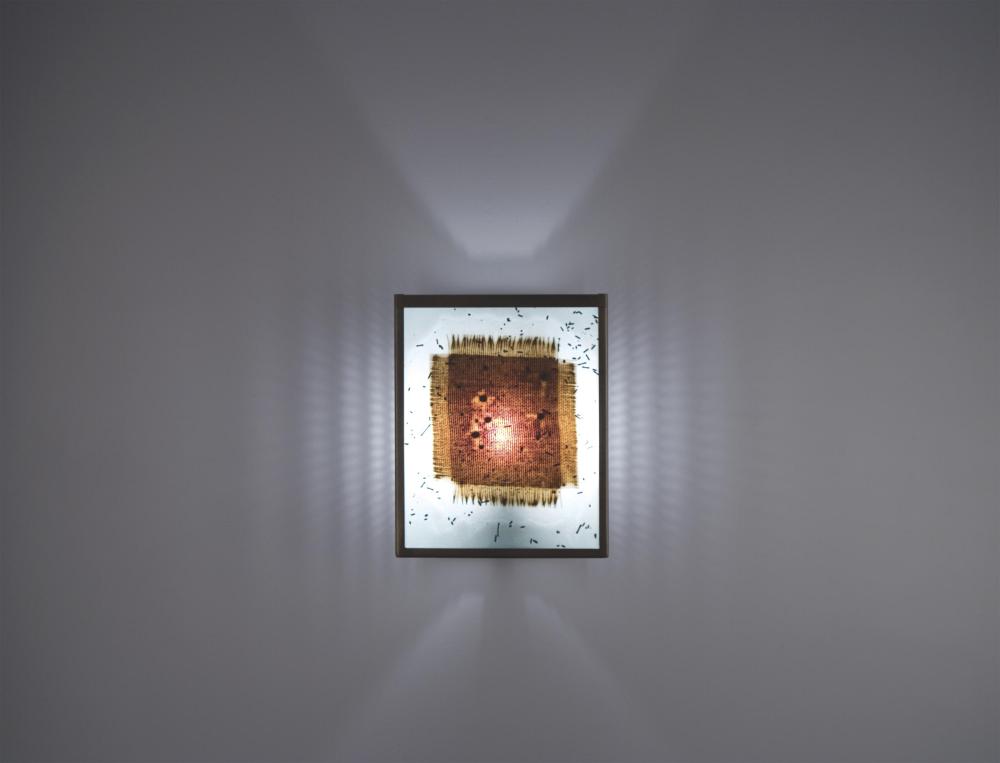 F/N 2 - Bronze - Incandescent - Vision Amber