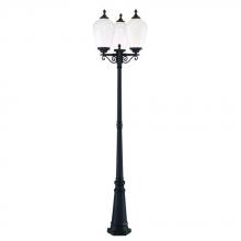  5369BK/WH - Acorn Collection 3 Head Combination 3-Light Outdoor Matte Black Post Light