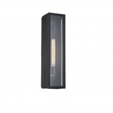  FSN-7691W-CLER-MBLK - Briarwood Small 1-Light Outdoor Wall Sconce