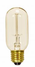 Satco Products Inc. S2417 - 40 Watt T14 Incandescent; Clear; 3000 Average rated hours; 160 Lumens; Medium base; 120 Volt