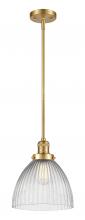  201S-SG-G222 - Seneca Falls - 1 Light - 10 inch - Satin Gold - Stem Hung - Mini Pendant