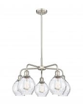  516-5CR-SN-G362 - Waverly - 5 Light - 24 inch - Satin Nickel - Chandelier