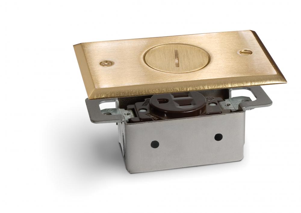 BRASS PLATED SINGLE RECEPTACLE PLATE