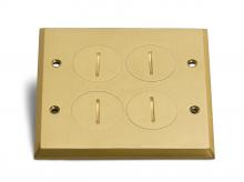 Lew Electric Fittings RRP-4-SPB - BRASS SCREW PLATE FOR PB2