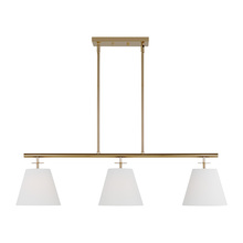  3002003-848 - Crestgrove Three Light Linear Chandelier