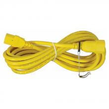 TPI RS-9EC - 9' Extention Cord with Power Switch