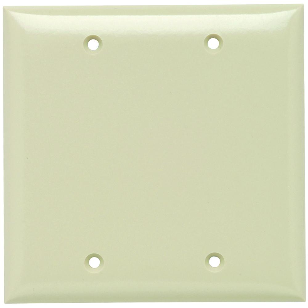 PLATE PLASTIC 2G BLANK W/OUT LINE I