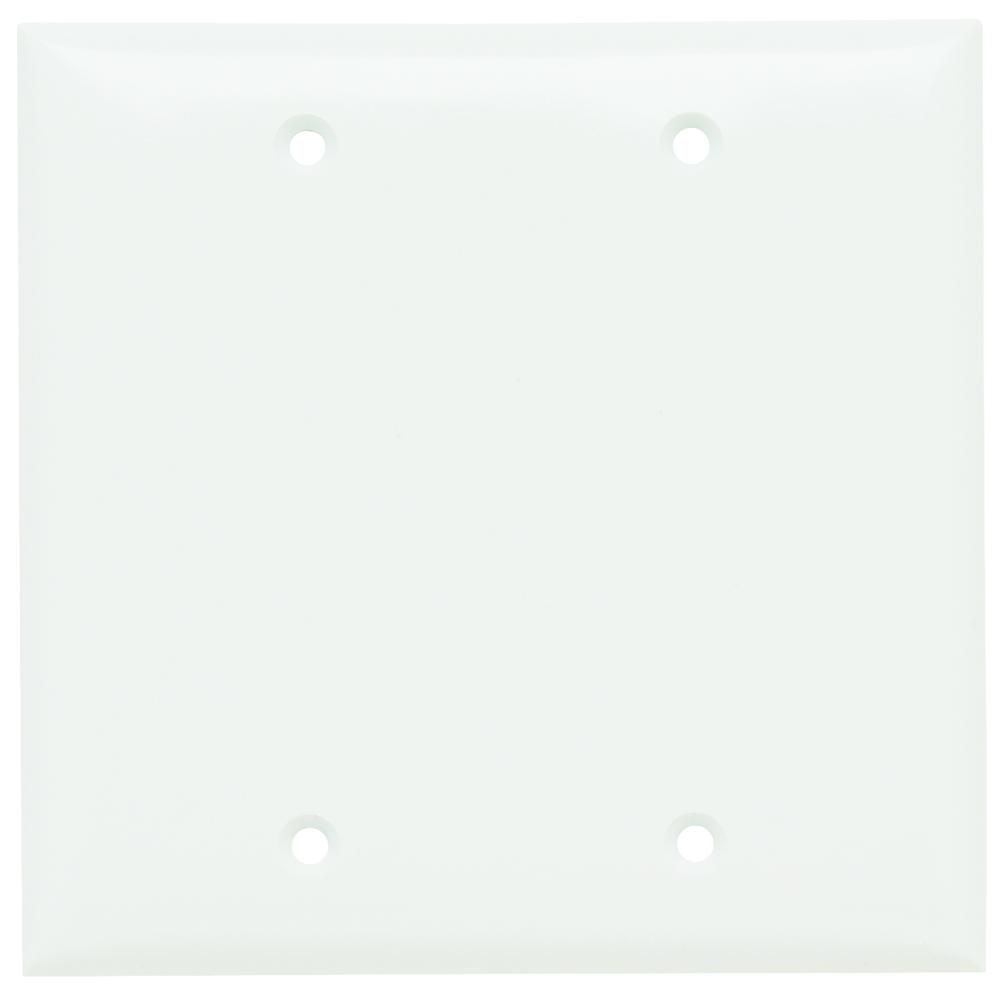 PLATE PLASTIC 2G BLANK W/OUT LINE W