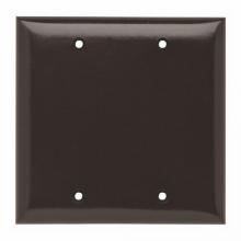 Legrand-Pass & Seymour SP23 - PLATE PLASTIC 2G BLANK W/OUT LINE