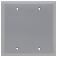 Legrand-Pass & Seymour SP23GRY - PLATE PLASTIC 2G BLANK W/OUT LINE GY