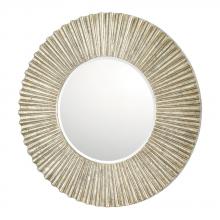  717101MM - Decorative Mirror