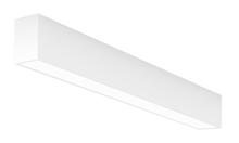 Eurofase F55440WSFM - 4FT,F55,SURFACE,4000K,WHT