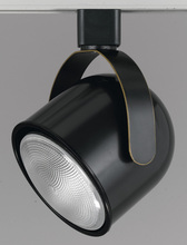  HT-197-DB - PAR 30, LINE VOLTAGE FIXTURE