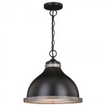  P0368 - Sheffield 15-in. Pendant New Bronze and Distressed Ash with Light Silver Inner